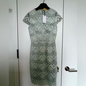Sage Green Reiss Lace Dress